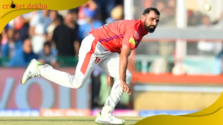 Cricket Journey